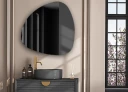 Miroirs Irrégulière