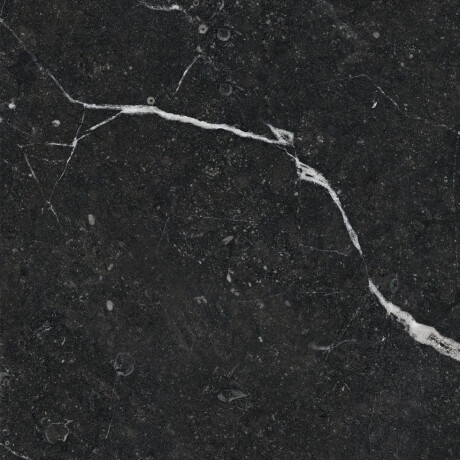 Carrelage en grès émaillé pour sol, 60 x 120, noir avec des veines dorées, brillant, rectifié, A4H109 Pierre Black #37