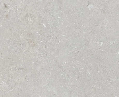 Carrelage en grès cérame pour sol, 60 x 120 cm, gris clair mat, A4H1093 Shellstone Bianco