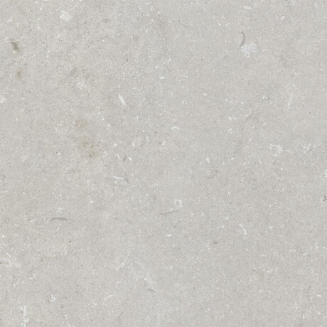 Carrelage en grès cérame pour sol, 60 x 120 cm, gris clair mat, A4H1093 Shellstone Bianco #1