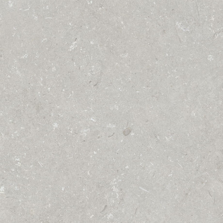 Carrelage en grès cérame pour sol, 60 x 120 cm, gris clair mat, A4H1093 Shellstone Bianco #2