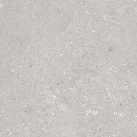 Carrelage en grès cérame pour sol, 60 x 120 cm, gris clair mat, A4H1093 Shellstone Bianco #3