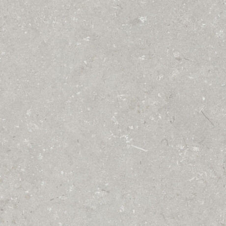 Carrelage en grès cérame pour sol, 60 x 120 cm, gris clair mat, A4H1093 Shellstone Bianco #4