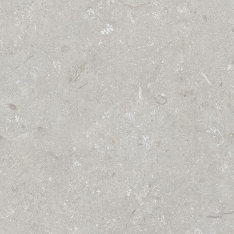 Carrelage en grès cérame pour sol, 60 x 120 cm, gris clair mat, A4H1093 Shellstone Bianco #5