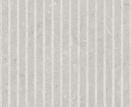 Carrelage mural 60 x 120 cm, blanc mat, A4H1094 Shellstone Bianco Rigat-One
