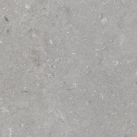 Carrelage en grès cérame pour sol, 60 x 120 cm, gris mat, A4H1096 Shellstone Grigio #4