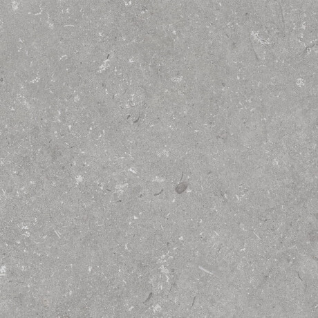 Carrelage en grès cérame pour sol, 60 x 120 cm, gris mat, A4H1096 Shellstone Grigio #5