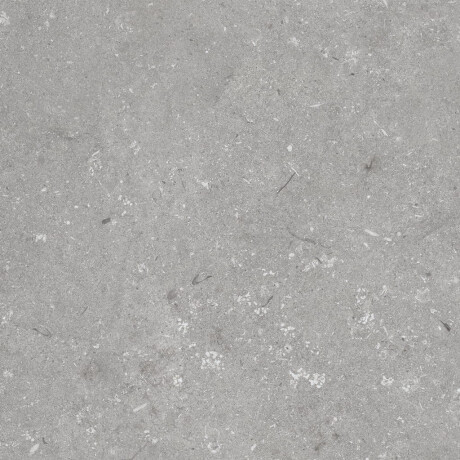 Carrelage en grès cérame pour sol, 60 x 120 cm, gris mat, A4H1096 Shellstone Grigio #6