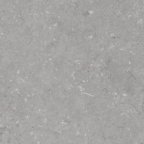 Carrelage en grès cérame pour sol, 60 x 120 cm, gris mat, A4H1096 Shellstone Grigio #7