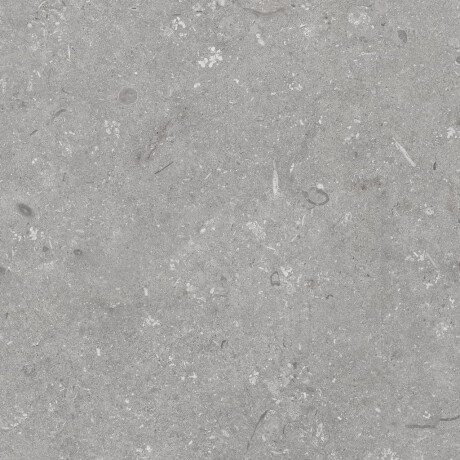 Carrelage en grès cérame pour sol, 60 x 120 cm, gris mat, A4H1096 Shellstone Grigio #8