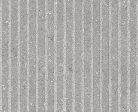 Carrelage mural 60 x 120 cm, gris mat, A4H1097 Shellstone Grigio Rigat-One