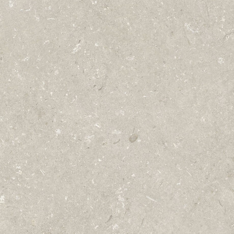 Carrelage en grès cérame pour sol, 60 x 120 cm, beige mat, A4H1099 Shellstone Beige #4