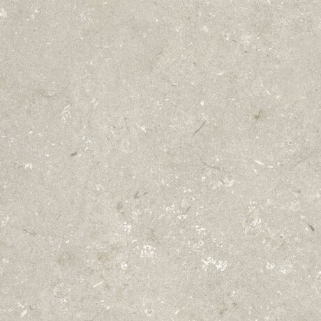 Carrelage en grès cérame pour sol, 60 x 120 cm, beige mat, A4H1099 Shellstone Beige #5