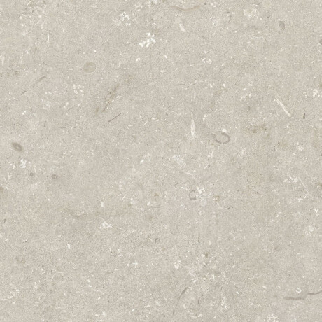 Carrelage en grès cérame pour sol, 60 x 120 cm, beige mat, A4H1099 Shellstone Beige #7
