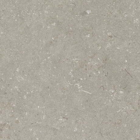 Carrelage en grès cérame pour sol, 60 x 120 cm, taupe mat, A4H1102 Shellstone Taupe #4