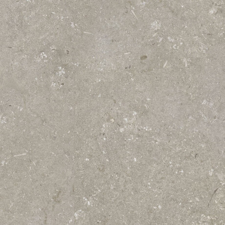 Carrelage en grès cérame pour sol, 60 x 120 cm, taupe mat, A4H1102 Shellstone Taupe #5