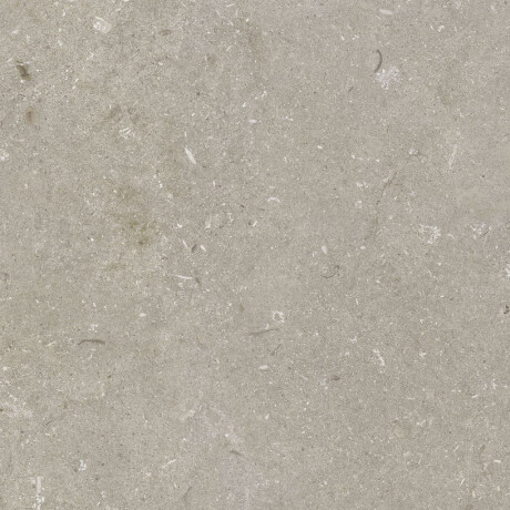 Carrelage en grès cérame pour sol, 60 x 120 cm, taupe mat, A4H1102 Shellstone Taupe #6