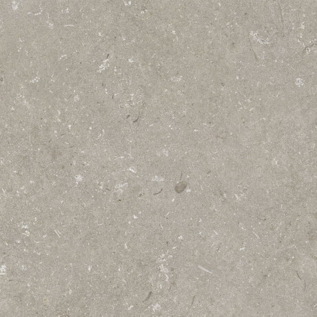 Carrelage en grès cérame pour sol, 60 x 120 cm, taupe mat, A4H1102 Shellstone Taupe #7