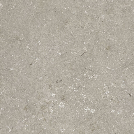 Carrelage en grès cérame pour sol, 60 x 120 cm, taupe mat, A4H1102 Shellstone Taupe #8