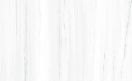 Carrelage en grès cérame grand format 120 x 270 cm, veines grises, brillant, rectifié, A4H185 Dolomite