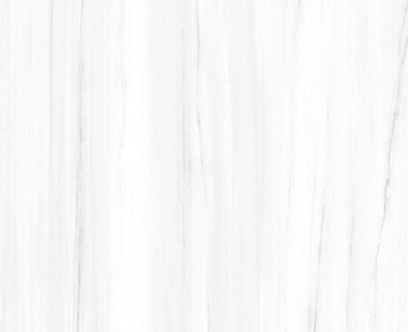 Carrelage en grès cérame grand format 120 x 270 cm, veines grises, brillant, rectifié, A4H185 Dolomite