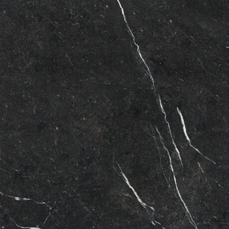 Carrelage en grès cérame grand format 120 x 270 cm, noir mat avec des veines dorées, rectifié, A4H196 Pierre Black #8