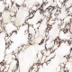 Carrelage en grès cérame grand format 120 x 280, effet marbre avec des veines violettes, brillant A4H840 Calakatta Wiola #4