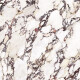 Carrelage en grès cérame grand format 120 x 280, effet marbre avec des veines violettes, finition mate A4H844 Calakatta Wiola #6