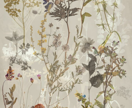 Carrelage mural en grès 60 x 120 cm, gris, motifs floraux, finition mate A4H919 Glame