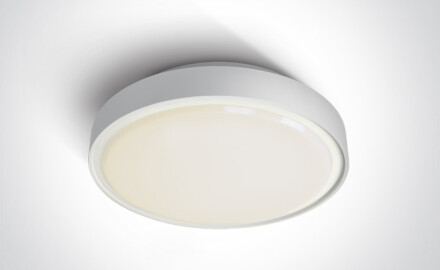Plafonnier RAFTI AN 24 W 3 000 K IP65 anthracite