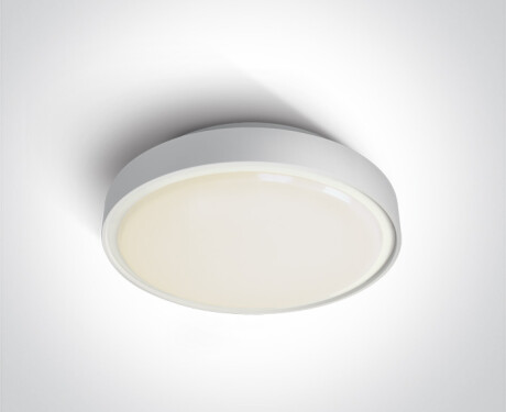 Plafonnier RAFTI AN 24 W 3 000 K IP65 anthracite