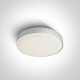 Plafonnier RAFTI AN 24 W 3 000 K IP65 anthracite #1