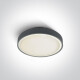 Plafonnier RAFTI AN 24 W, 3 000 K, IP65, blanc #1