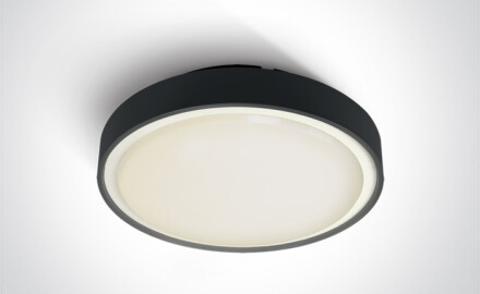 Plafonnier RAFTI EA 2x12 W, IP65, anthracite