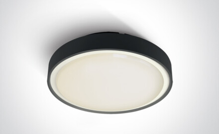 RAFTI E, plafonnier 12 W, IP65, anthracite
