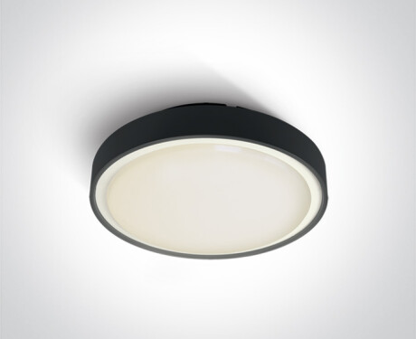 RAFTI E, plafonnier 12 W, IP65, anthracite