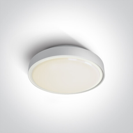 RAFTI E, plafonnier 12 W, IP65, gris #1