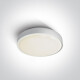RAFTI E, plafonnier 12 W, IP65, gris #1