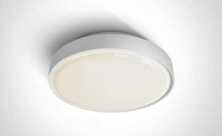 RAFTI N, plafonnier 16 W, 3000 K, IP65, gris
