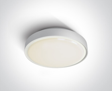 RAFTI N, plafonnier 16 W, 3000 K, IP65, gris
