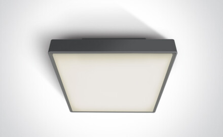 PIRNARI AN, plafonnier 24 W, 3000 K, IP65, gris