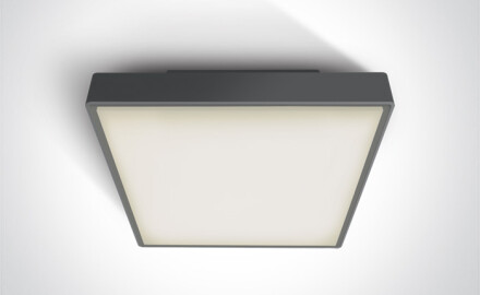 PIRNARI E, plafonnier 12 W, E27, IP65, blanc