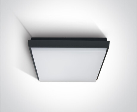 FASIDERI, plafonnier 20 W, 3000 K, IP54, blanc