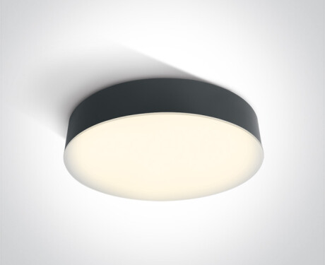 Plafonnier PASIO 30 W, 3 000 K, IP54, blanc