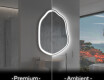 Miroir de salle de bains LED de forme irrégulière E222